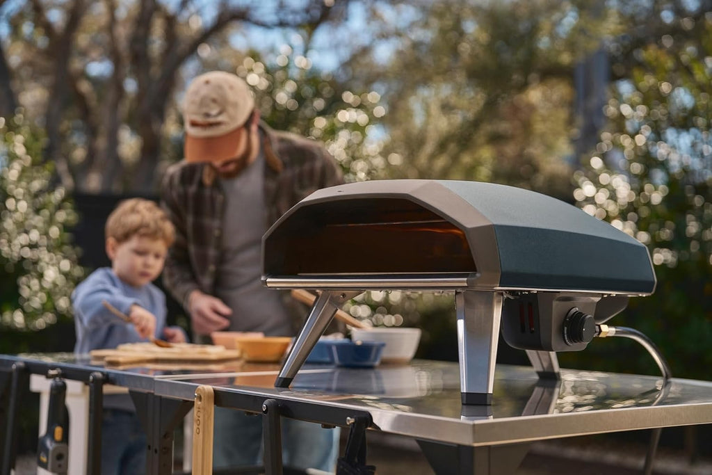 2 Propane Gas Pizza Oven